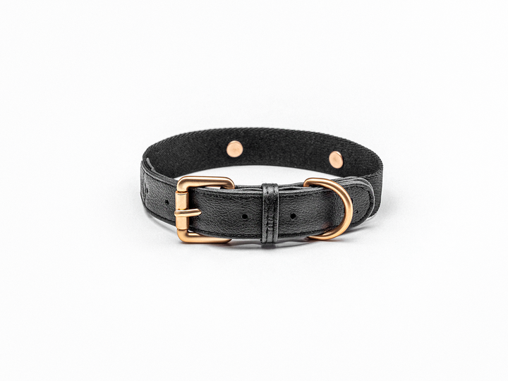 Black Dog Collar