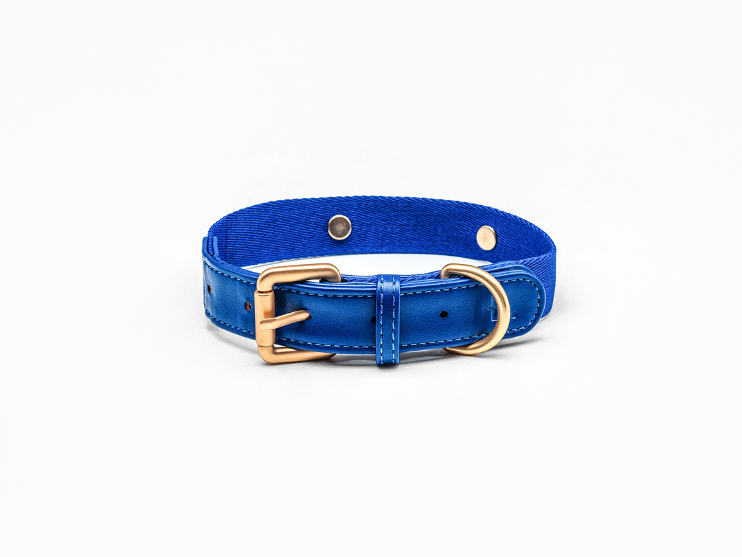 Blue Dog Collar