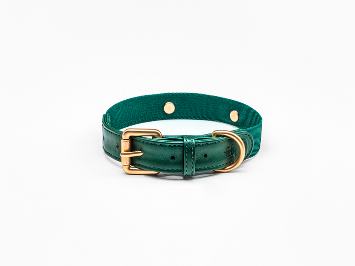 Green Dog Collar