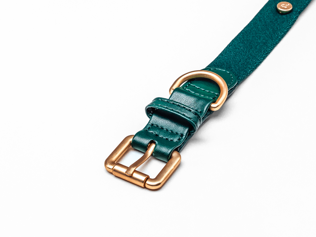 Green Dog Collar