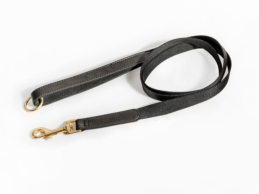Black Dog Leash