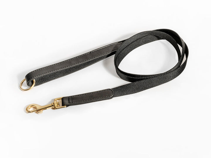 Black Dog Leash