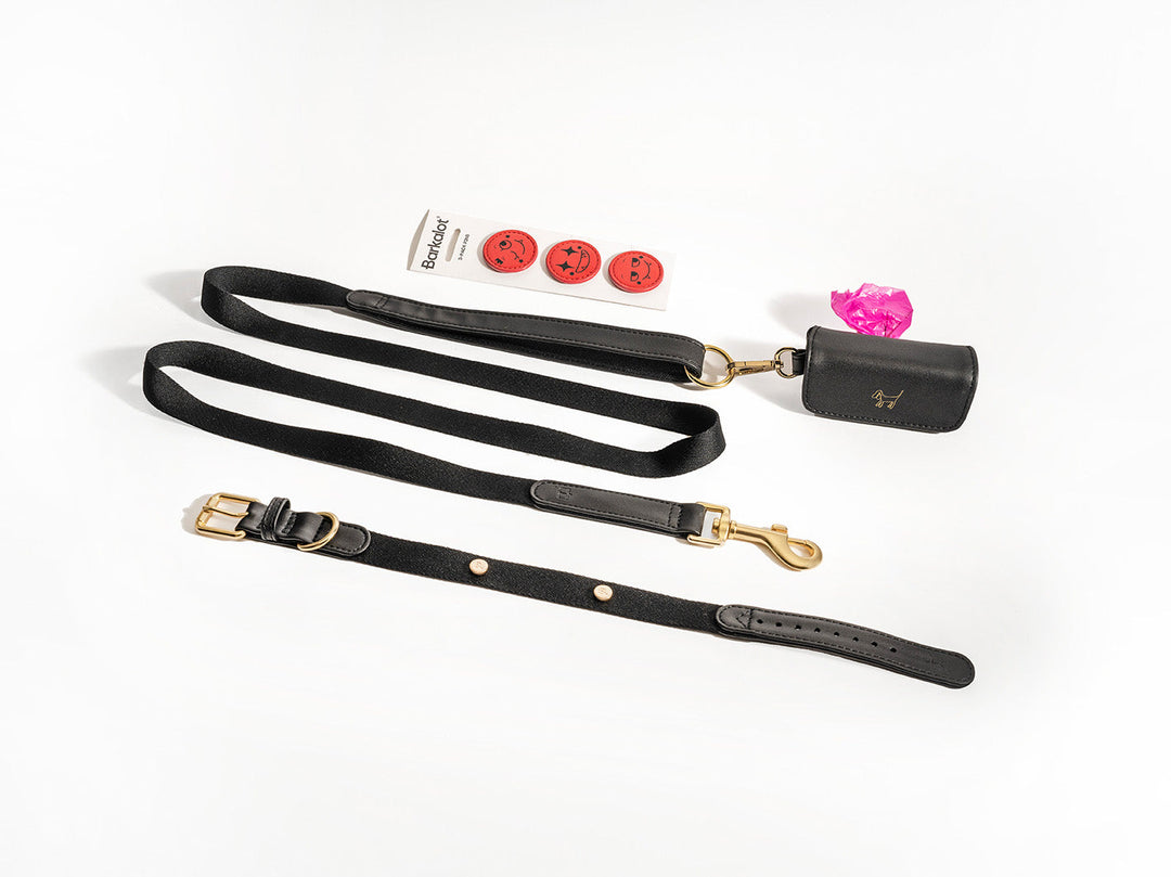 Black Dog Collar Walk Kit +  Poop Bag Holder + Pins