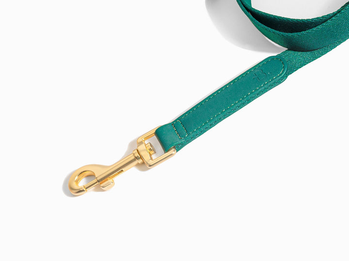 Green Dog Leash