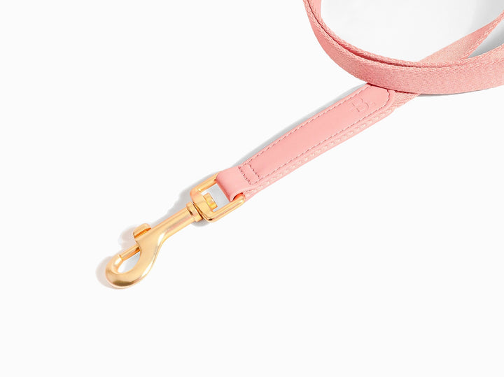 Pink Dog Leash