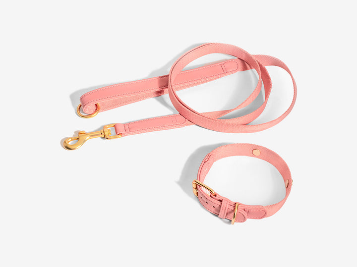Pink Dog Collar Walk Kit