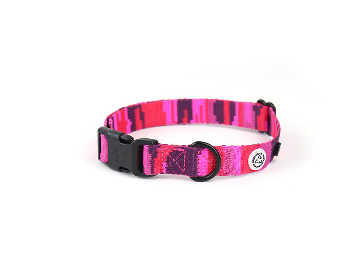 Pink Camo Dog Collar Walk Kit