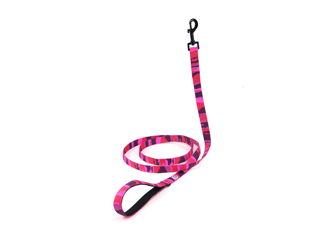 Pink Camo Dog Collar Walk Kit