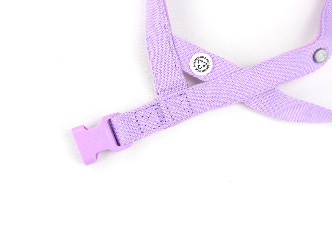 Lilac Dog Harness Walk Kit